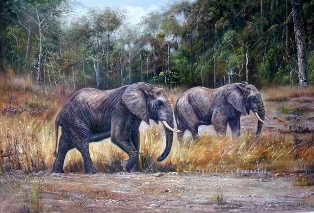 dw009dD animal elephant Oil Paintings